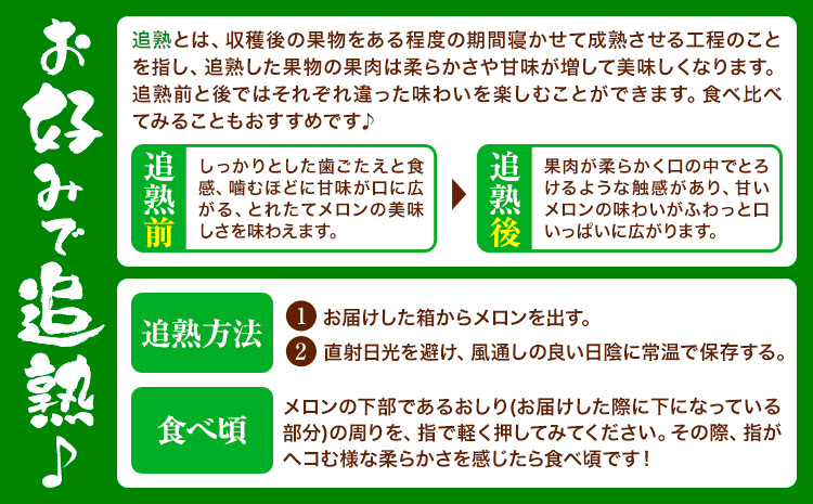 七城の恵み 詰め合わせ まるごとGreen 特別栽培米 ヒノヒカリ 2kg 肥後グリーン メロン 1玉 株式会社七城の恵み《5月上旬-5月下旬頃出荷》熊本県 菊池市 米 メロン ひのひかり つるたファ