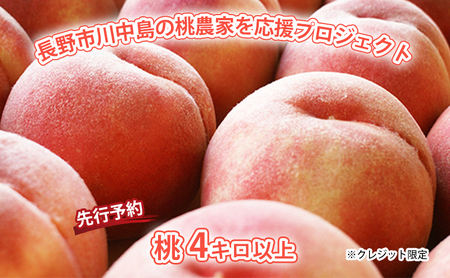 【先行予約】長野市川中島の桃農家を応援プロジェクト　2026年配送！桃４キロ以上　※クレジット限定 果物／もも モモ 