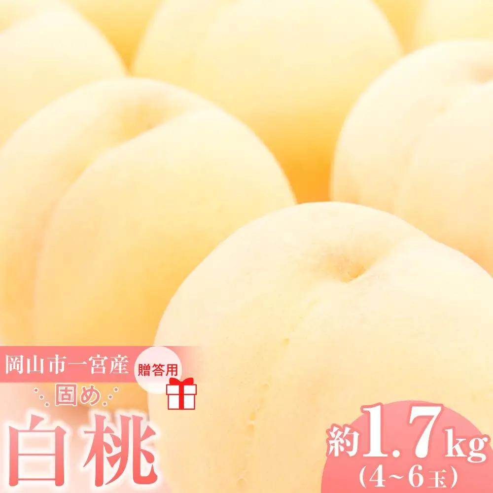 2027年  贈答用 岡山市一宮産   白 桃   固め（晩生種）約1.7kg 4～6玉  ｜ 桃