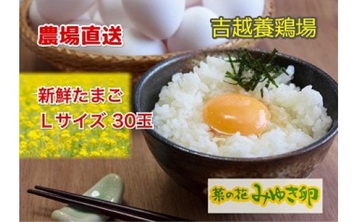 農場直送「菜の花みゆき卵」Ｌ玉30個入(W-07)