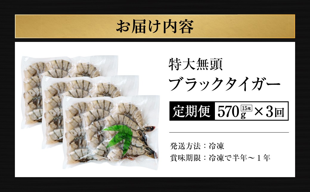 【3回定期便】特大 ブラックタイガー 無頭えび  ｜海老 えび エビ ブラックタイガー 海鮮 魚介 殻付き 冷凍 大阪府 阪南市
