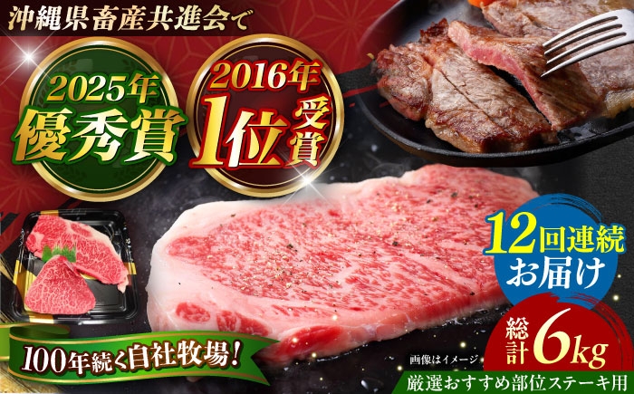 
                  ステーキ  佐渡山牛 【全12回定期便】厳選おすすめ部位 ステーキ肉 500g 肉のサブロー [BCBC007] 肉 お肉 おにく にく steak Steak 国産 和牛 すてーき ステーキ すてーき ステーキ肉 ブランド 牛 牛肉 赤身 国産牛 国産和牛 和牛 沖縄 ブランド 和牛 うし 牛 焼肉 焼き肉 やきにく BBQ バーベキュー 牛肉 バーベキュー BBQ 沖縄県 沖縄市 沖縄 九州
                