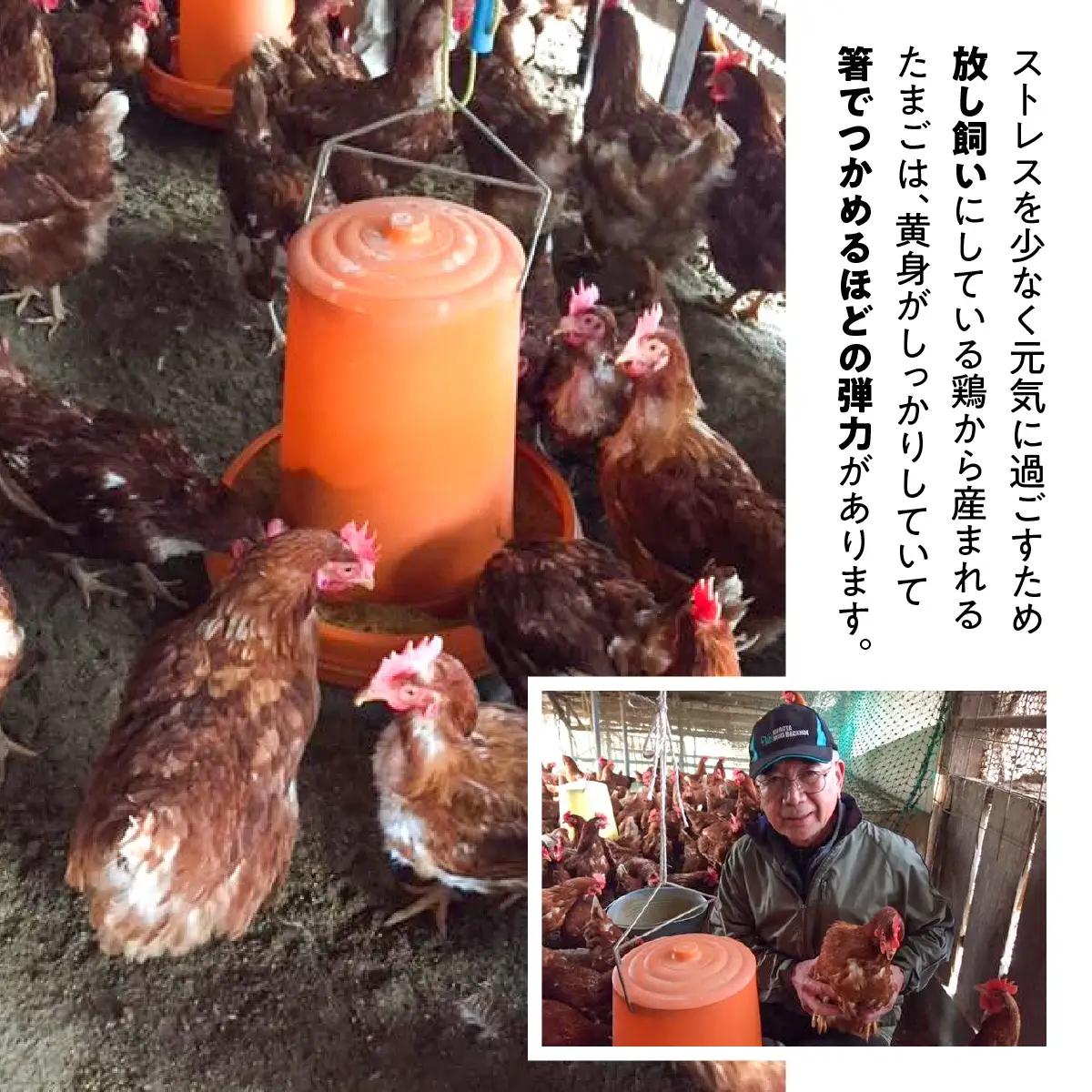 ≪飯能産≫放し飼いたまご 50個(夏季)　HNNBP004