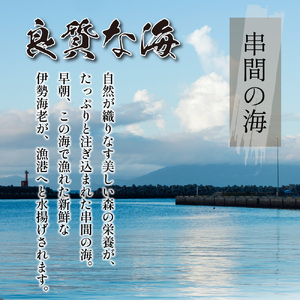 L-C2 ＜期間限定＞串間市産！天然イセエビ（600g〜700g）鮮度抜群の伊勢海老を食卓へお届け【串間市漁業協同組合】