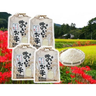 ふるさと納税 山鹿市 【先行予約】熊本県産お米20kg箱(5kg×4袋)