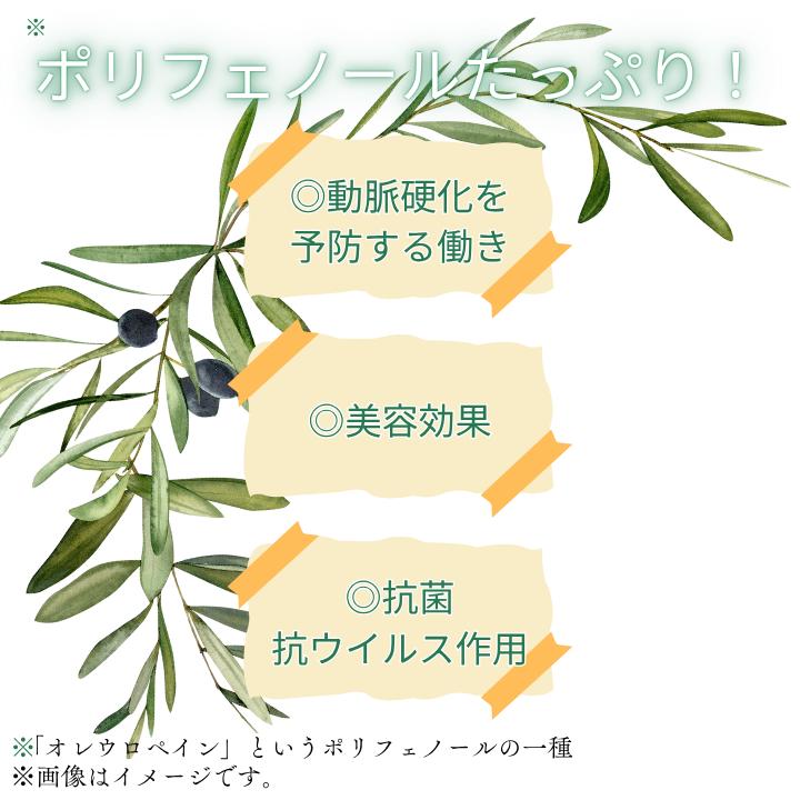 匝瑳オリーブ 千朋園　オリーブ茶　1袋 30g（2g×15パック） ／ お茶 オリーブ茶 オリーブ オレウロペイン ポリフェノール ティーバッグ