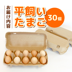 【平飼い たまご】 30個(10個×3パック)  ＼ 自然由来飼料のたまご ／ 