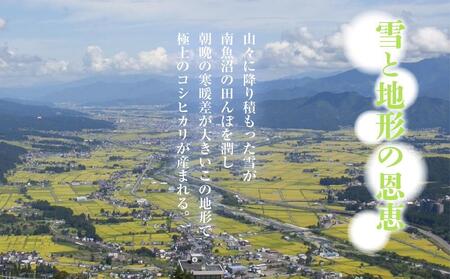 【定期便】 新潟県 南魚沼産 コシヒカリ お米 15kg×計6回 精米済み 半年間 毎月発送 こしひかり（お米の美味しい炊き方ガイド付き）【2025年10月中旬より順次発送予定】