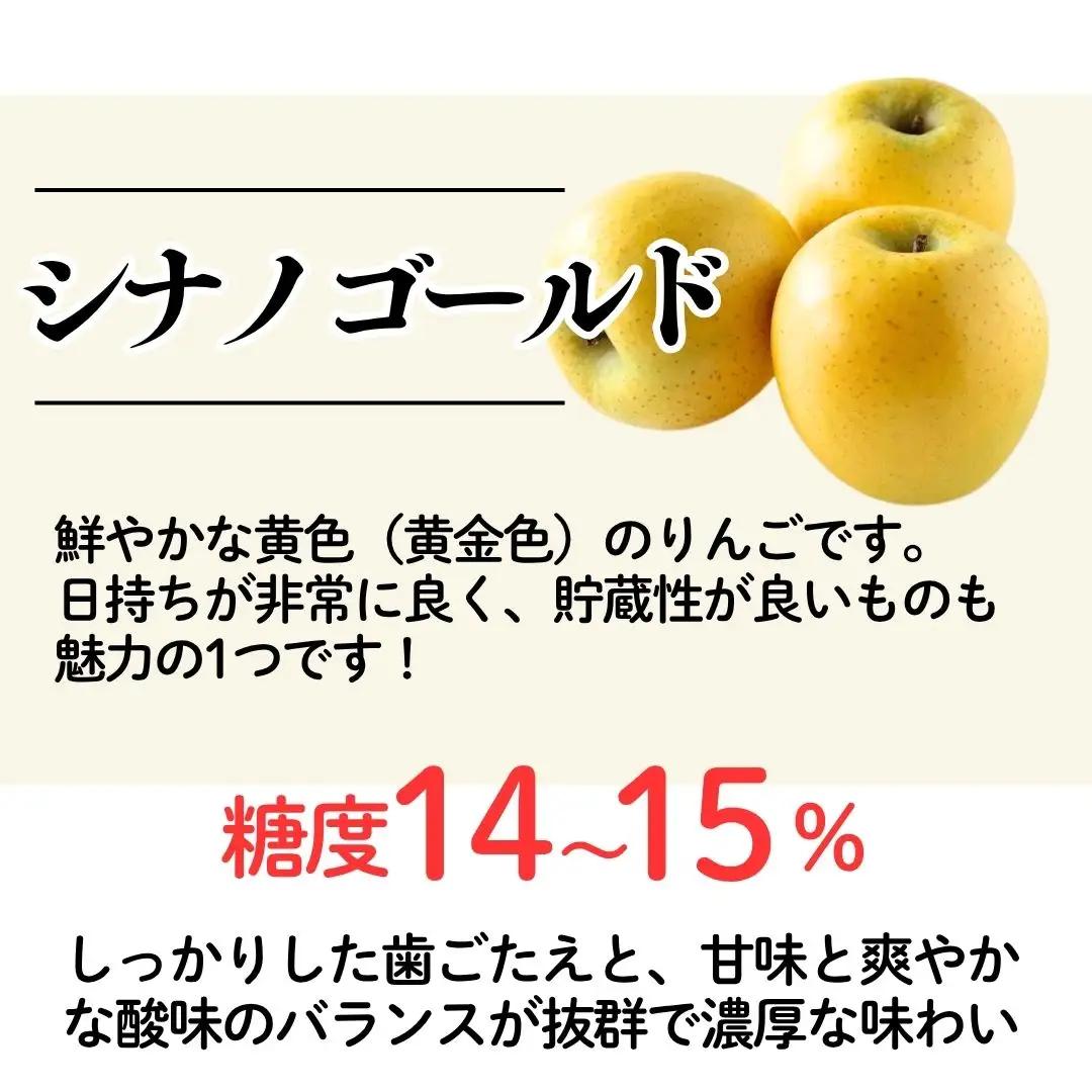 りんご シナノゴールド 5kg 10月上旬以降発送| 新潟県 佐渡市 松丘農園 りんご