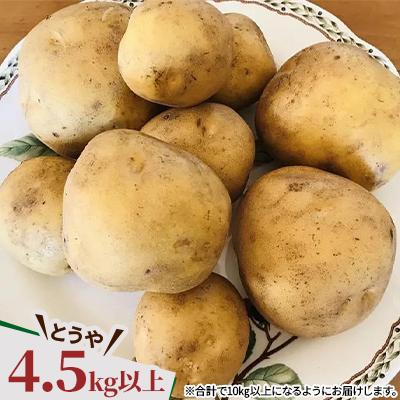 ふるさと納税 帯広市  じゃがいも2種+ながいも 計10kgセット　北海道十勝帯広産 |  | 02