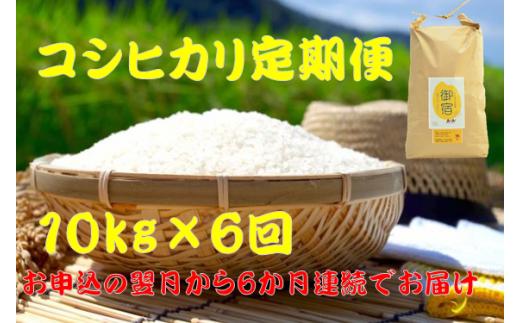 【お米定期便】御宿産コシヒカリ１０ｋｇ×６か月
