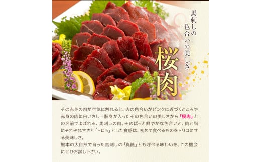 国産赤身馬刺し 約560g 馬刺しのたれ付き 千興ファーム 馬肉 《60日以内に出荷予定(土日祝除く)》---sm_fsenkbs_60d_23_22500_560g---