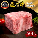 【ふるさと納税】A5 A4 佐賀牛ロースブロック 500g J595