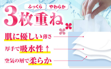 【第38回高知県産業振興計画賞受賞】新保湿ティシュ絹雲３枚重ね8組（24枚）4個入り×20パック（計80個）｜保湿ティッシュ 驚きの肌触り ポケットティッシュ