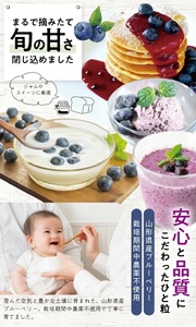 冷凍ブルーベリー1.0kg(500g×2袋) 山形県産 冷凍便 ※離島発送不可 冷凍 冷凍フルーツ ブルーベリー フルーツ ジャム ジュース スムージー 小分け お菓子作り ゆざ食彩工房 遊佐町 庄内