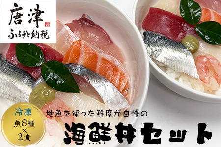 地魚を使った鮮度が自慢の海鮮丼(魚8種/酢飯150g×各2食) 急速冷凍 海鮮 夕食 簡単 解凍