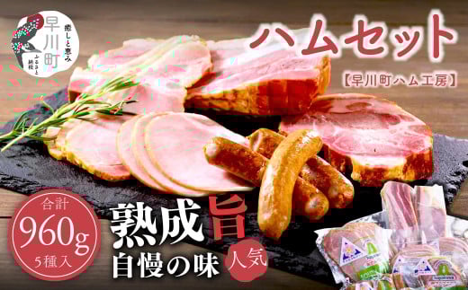 早川町ハム 工房セット