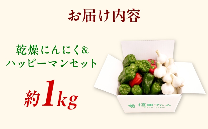 ピーマン ぴーまん 高知県産 野菜 新鮮野菜 産地直送 お取り寄せ 先行予約