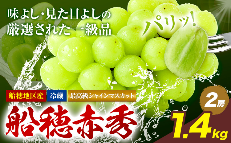 【2026年先行予約受付】最高級 シャインマスカット ぶどう 船穂赤秀 2房 1.4kg 《2026年9月上旬-10月末頃出荷(土日祝除く)》ハレノフルーツ マスカット 送料無料 岡山県 浅口市 フルーツ 果物 贈り物 ギフト 国産 岡山県産【配送不可地域あり】（北海道・沖縄・離島）