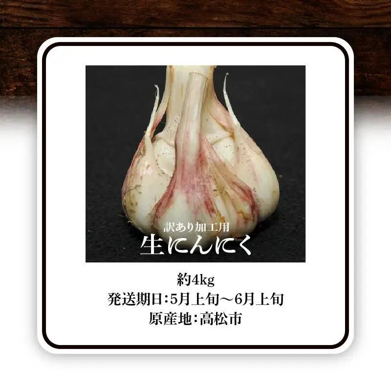 加工用 訳あり 生にんにく 約4kg【2026-5月上旬～2026-6月上旬配送】| にんにく