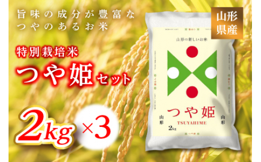 
            《ふるさとの極み》山形県産 つや姫セット 6kg(2kg×3)  米 お米 コメ ごはん ご飯 食品 山形県 F2Y-6657
          