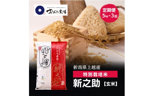 令和8年産 新潟県上越産 特別栽培米 新之助 定期便 5kg×3回 計15kg 【玄米】 従来品種 こしひかり 新米 おおた農場 上越市