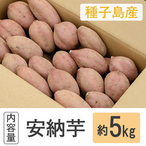 n223 ＜期間・数量限定＞種子島産 安納芋(5kg)国産 安納芋 紅 種子島 芋 イモ いも さつまいも さつま芋 安納いも セット 詰め合わせ スイーツ 野菜【種子島安納大地】