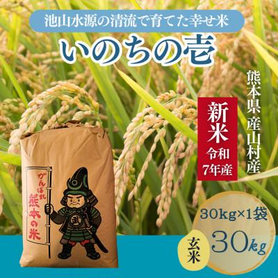 ふるさと納税 産山村 【令和7年産】池山水源の清流で育てた幸せ米　いのちの壱　玄米(30kg×1袋)