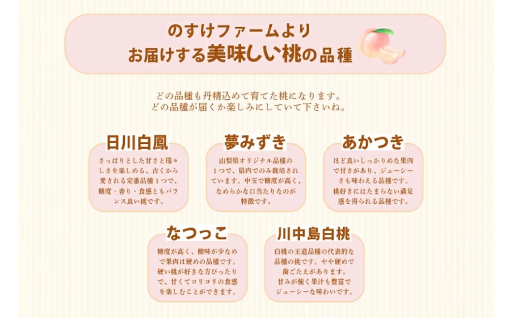 【訳あり（小玉）】桃 3kg （8～10玉）