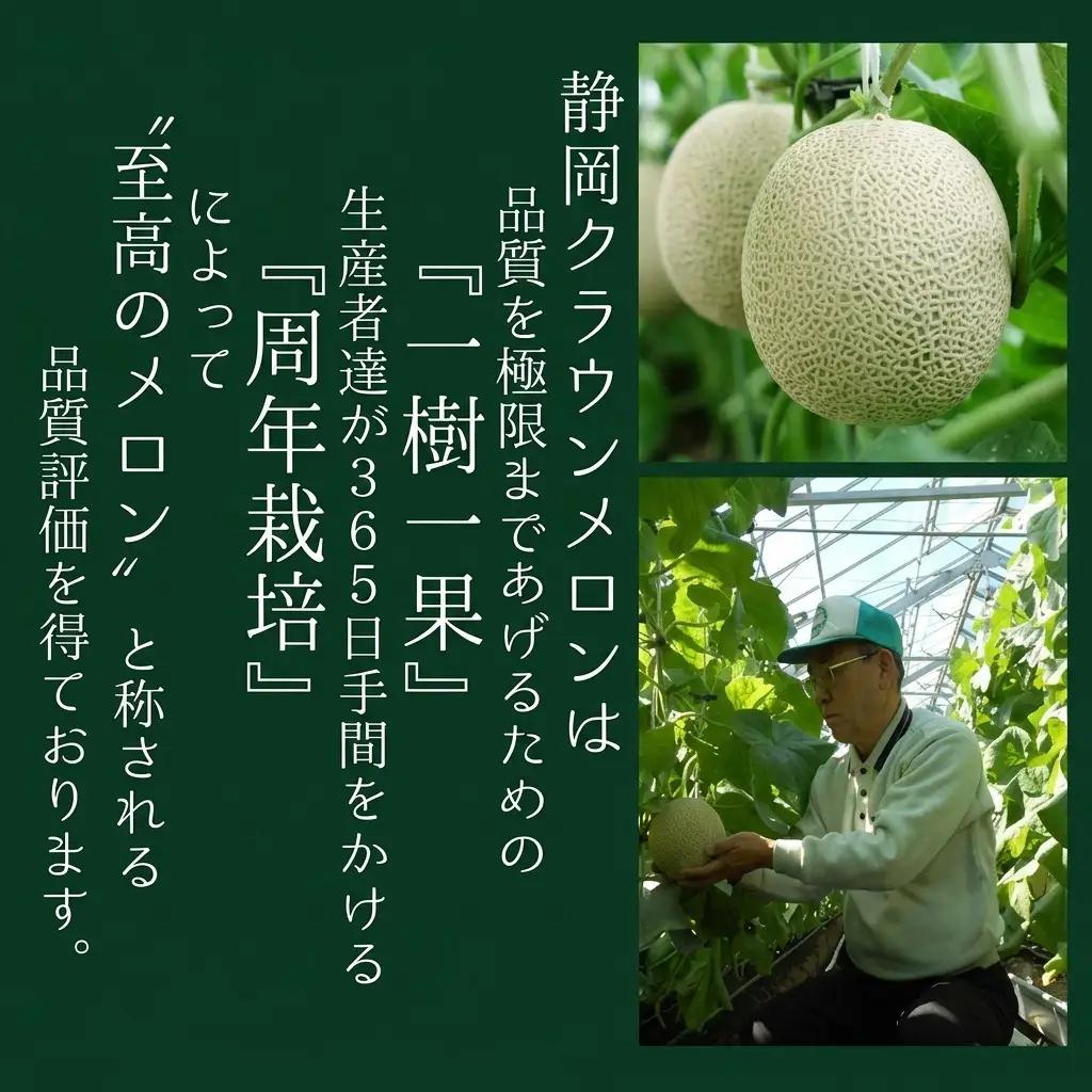 クラウンメロン 白上級 静岡県産 クラウンメロン【1玉】【10ヶ月定期便】