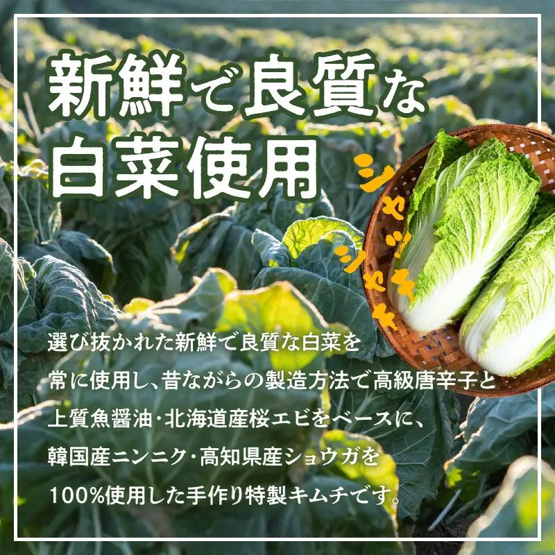 定期便 白菜キムチ 1kg × 6回 大好評 韓国
