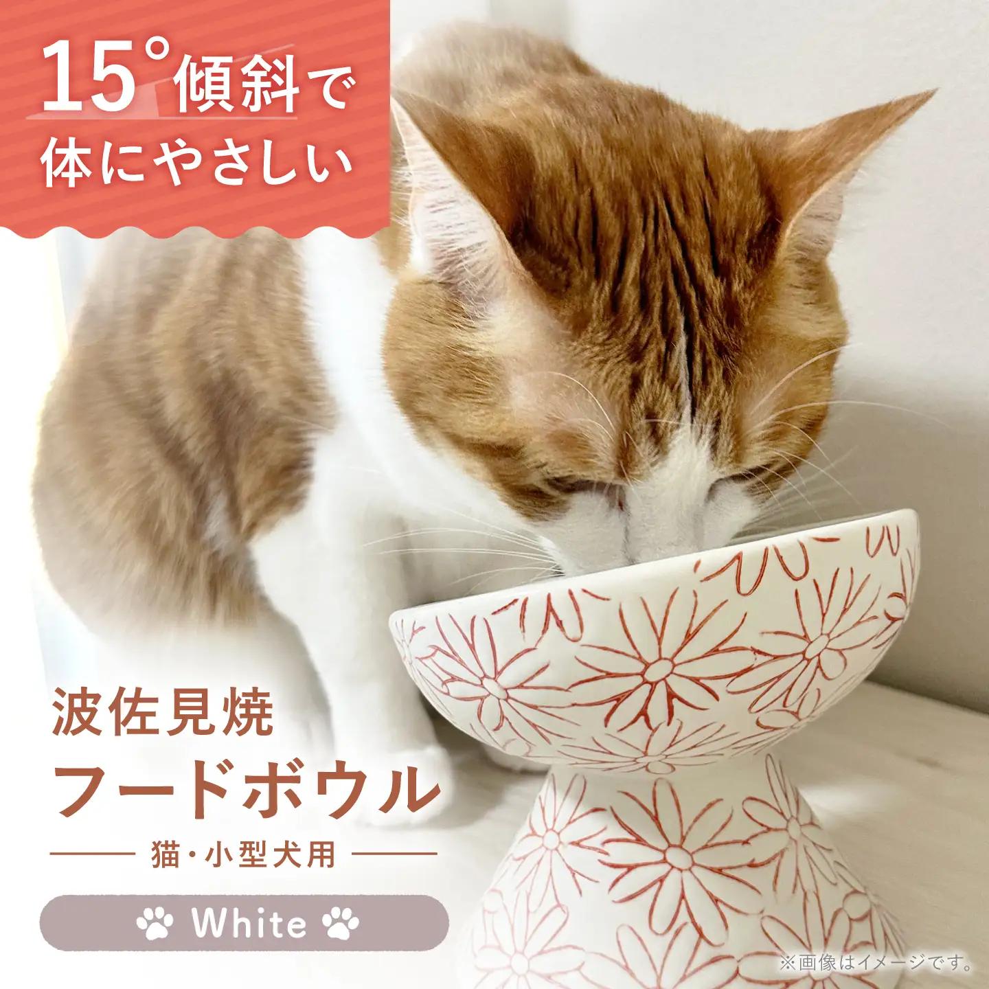 【波佐見焼】フードボウル 猫・小型犬用 花美(はなび)シリーズ white 1点【enjoy the meals】[AH13]