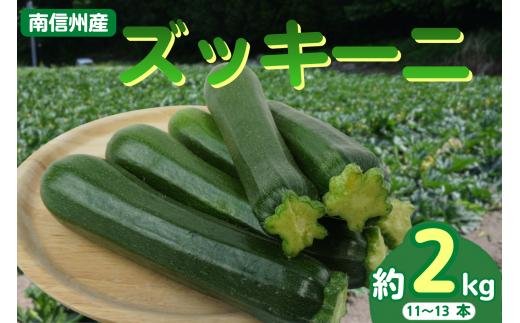 ズッキーニ　約2kg（11～13本入り）2026年6月～8月発送　 野菜｜収穫｜新鮮｜料理｜南信州｜長野県｜信州｜ふるさと納税