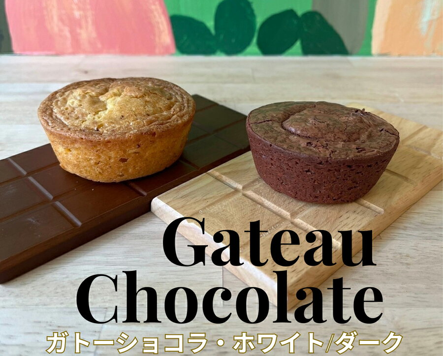 【ふるさと納税】チョコレート専門店「濃厚ガトーショコラ2種 (各2点) 計4点」｜スイーツ デザート 菓子 お菓子 洋菓子 贈り物 ギフト プチギフト プレゼント 手土産 おやつ 小分け 包装 パック [1525]
