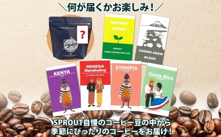 自家焙煎 オリジナル コーヒー豆 3種 コーヒーバッグ 2種 セット 90杯 珈琲 オートルート 羊蹄山 ドリップバッグ ティーバッグ 飲み比べ ブレンド 専門店 ギフトカフェ ニセコ SPROUT 