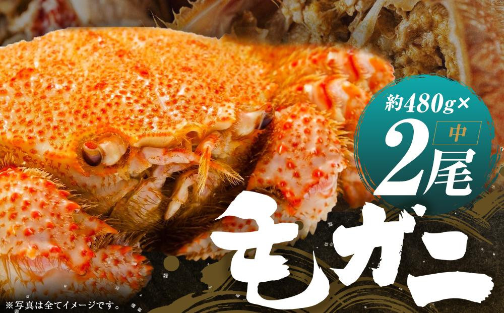 
ミソたっぷり身がぎっしり詰まった毛ガニ(中)約480g×2尾
