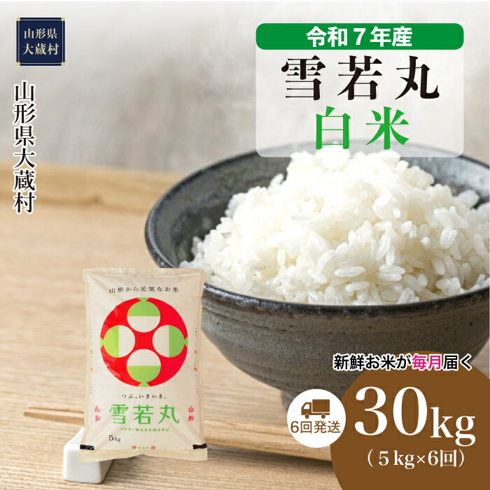 【ふるさと納税】＜令和7年産米＞ 大蔵村 雪若丸 ＜白米＞ 30kg定期便（5kg×6回お届け）