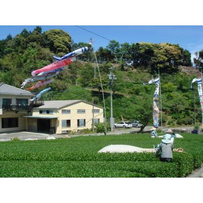 ふるさと納税 掛川市 掛川の小さな茶農家直送　農業遺産茶草場実践工場　 深蒸し掛川茶『うぐいす』80g×5袋 |  | 01