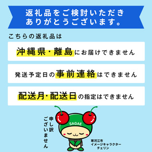 【先行予約】令和8年産 シャインマスカット と 品種おまかせ ぶどう 食べ比べセット 計1.2kg以上（2房） 2026年産 山形県産 【2026年9月上旬頃～10月中旬頃発送予定】※配送不可 沖縄・