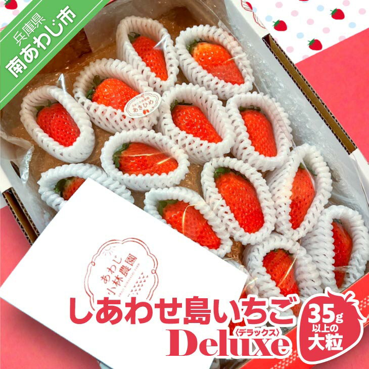 【ふるさと納税】しあわせ島いちごデラックス(DX)35g以上の大粒いちごプレゼントに最適！