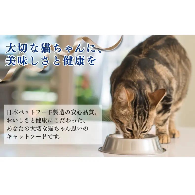 キャットフード コンボ 6種類 アソート まぐろ味 キャットフード