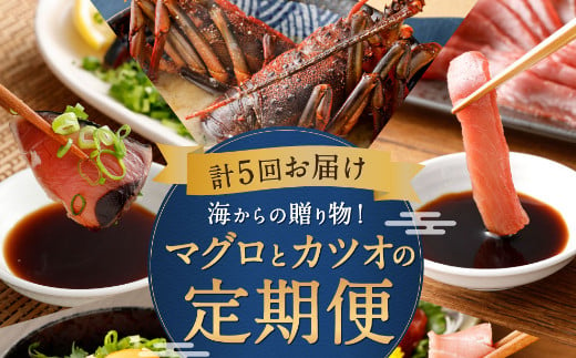 
【定期便 5回】海からの贈り物！マグロとカツオのお楽しみセット 定期便 海鮮 まぐろ かつおのたたき ネギトロ 刺身 海産物 魚介類 鮪 まぐろたたき 鰹 魚 高知県 海鮮 冷凍 コロナ 10万円
