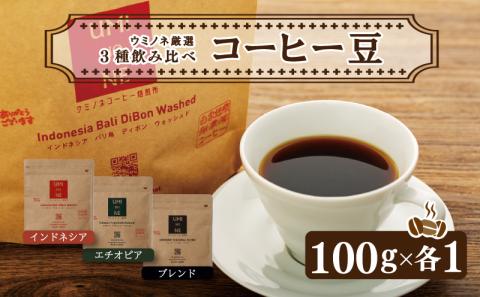 スペシャルティコーヒー 3種飲み比べ お取り寄せ（ブレンド・インドネシア・エチオピア 各100g） EW001-NT