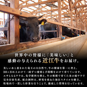 近江牛 焼肉 500g 冷凍 ロース 近江牛 近江牛 近江牛 近江牛 近江牛