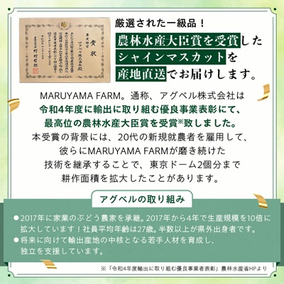 【農林水産大臣賞受賞!!】シャインマスカット 2房 1kg以上【配送不可地域：離島】