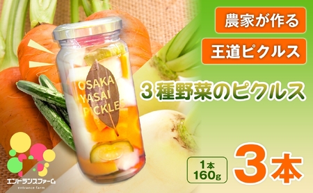 ＜農家が作る 王道ピクルス！＞3種野菜のピクルス(3本) 常温 常温保存 酢漬け 漬物 おかず サイドディッシュ ヘルシー カラフル おつまみ 【m104-05-B】【エントランスファーム】