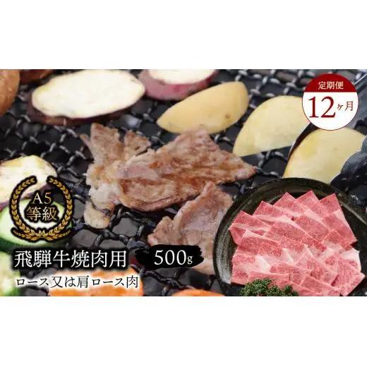 【１２ヶ月定期便】 A5等級 飛騨牛 焼肉用 500ｇ ロース又は肩ロース肉