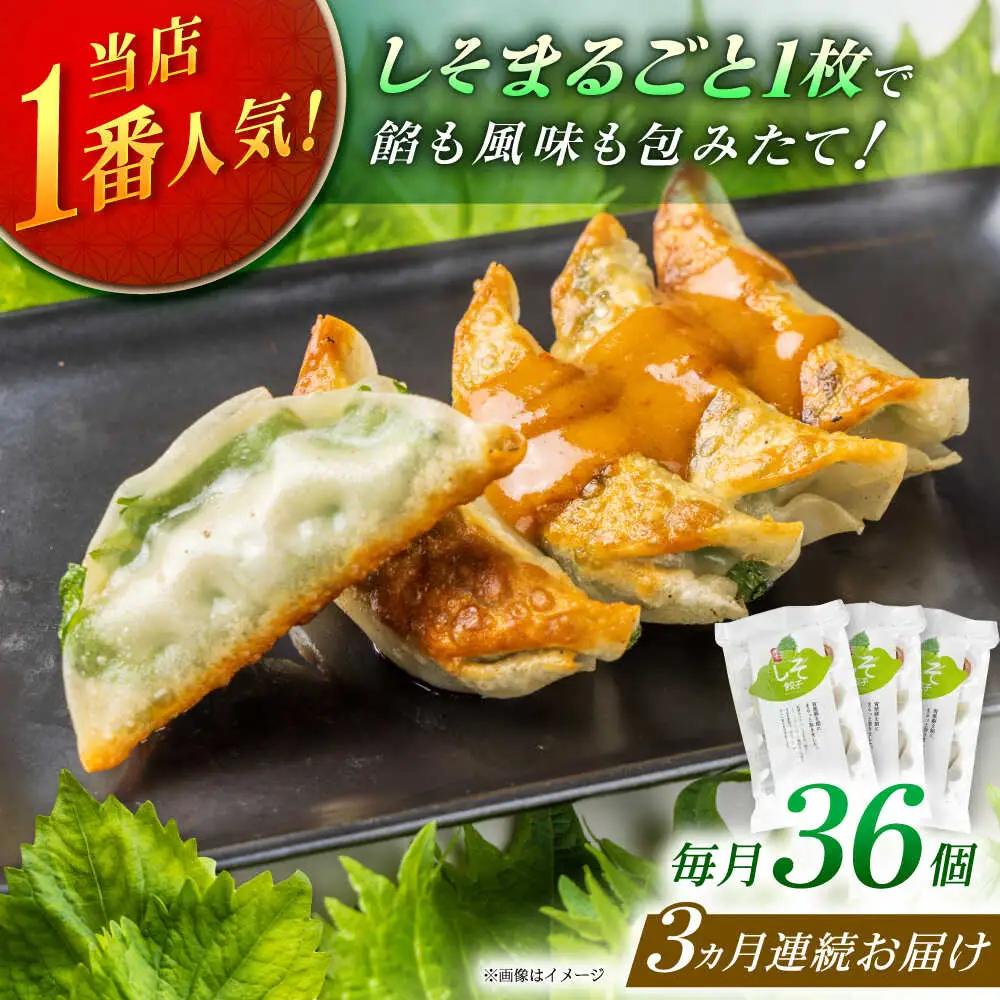 【全3回定期便】【3パック】餃子屋ヒロの 人気のしそ餃子 ぎょうざ[BDAS010]