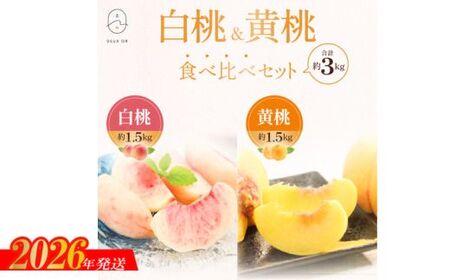 No.2672白桃＆黄桃食べ比べセット　約3kg【2026年発送】