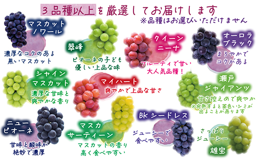 【2026年先行受付】岡山　花笑み農園のブドウ『訳あり3種以上MIX』1kg　W3M-1【配送不可地域：離島】